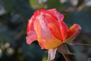 985B760F-71A9-4D50-B89F-3A6760555248/L0/001
