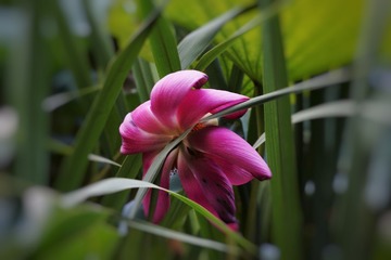 9A0C3971-2AA2-45C3-B01C-706DB836F287/L0/001
