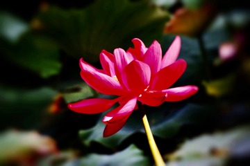 F6302F57-50F3-46E4-9C58-E9E05F5D1C5C/L0/001