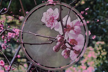 435AE142-C248-44AD-9AC6-55A001906164/L0/001