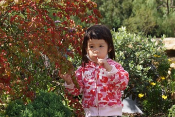 29F5991A-7E58-4415-9AAE-0B555A1786FB/L0/001