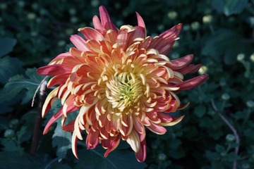 7844C052-ADF0-4C40-BE55-DFC13E2F5519/L0/001