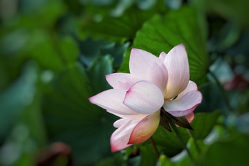 B0116237-8D94-495A-AAFD-5542BA468187/L0/001