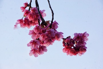 878709BF-34D4-4FD1-B145-607BD4DBE4D1/L0/001