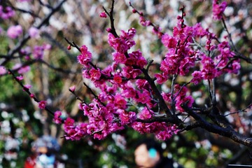 662E6A55-910E-4103-A138-AC0FAA2E145A/L0/001