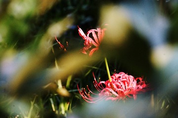 C2DA72B7-903D-47D5-8D00-C552B818A927/L0/001