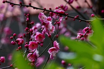 92E33E4F-C860-48A5-94C6-5B753E90CE39/L0/001