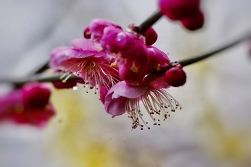 04573A8D-370B-40BC-8D01-F34D2F0A3472/L0/001