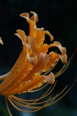 27B0451F-83DF-4B14-85AC-F3C979BC4FC9/L0/001