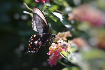 D1D6219D-A3D4-41AB-BACB-3F4ACD2B9539/L0/001