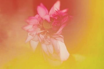 A5C8F4FD-DFE3-4BDE-82D6-4F3ACC05EB77/L0/001