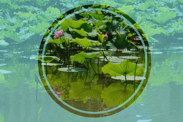 42F9000D-3386-4D2A-8B98-49047AD9E00B/L0/001