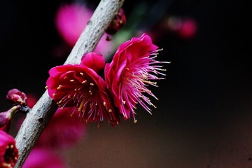 57E0455C-28AA-4B30-BE48-B63F714213F4/L0/001