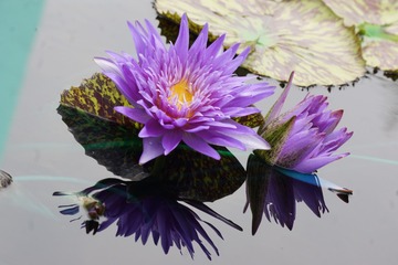 B5F0E6E0-D850-443F-A7DB-F4C088F579AB/L0/001
