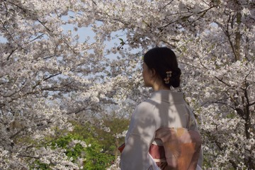 07CA7599-DD0A-4C46-997F-641DD74B000A/L0/001