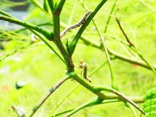 SAM_0874