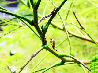 SAM_0874_2