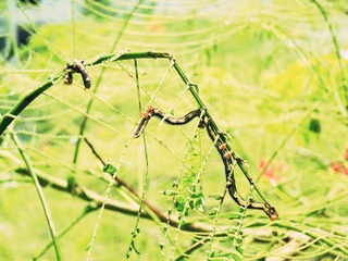 SAM_0883_