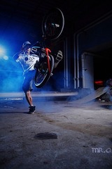 BMX1
