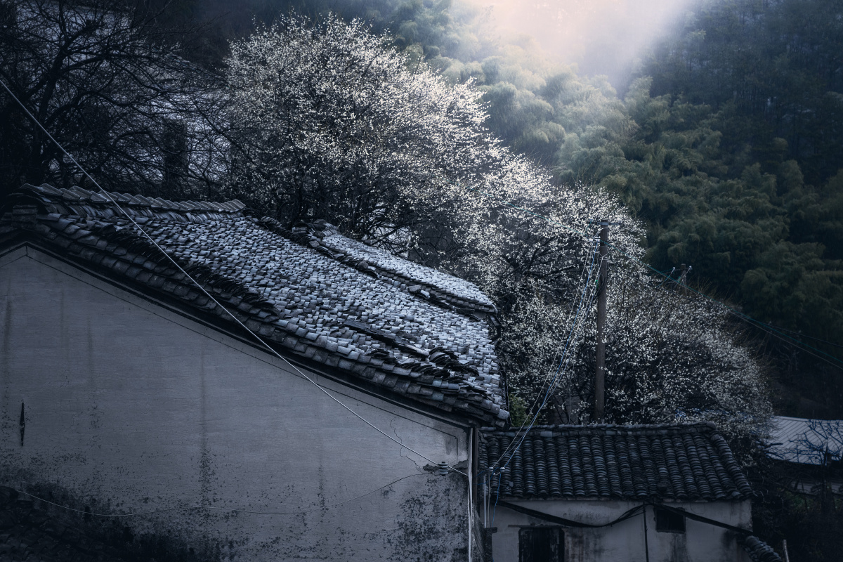 拍摄地点安徽歙县姬川村