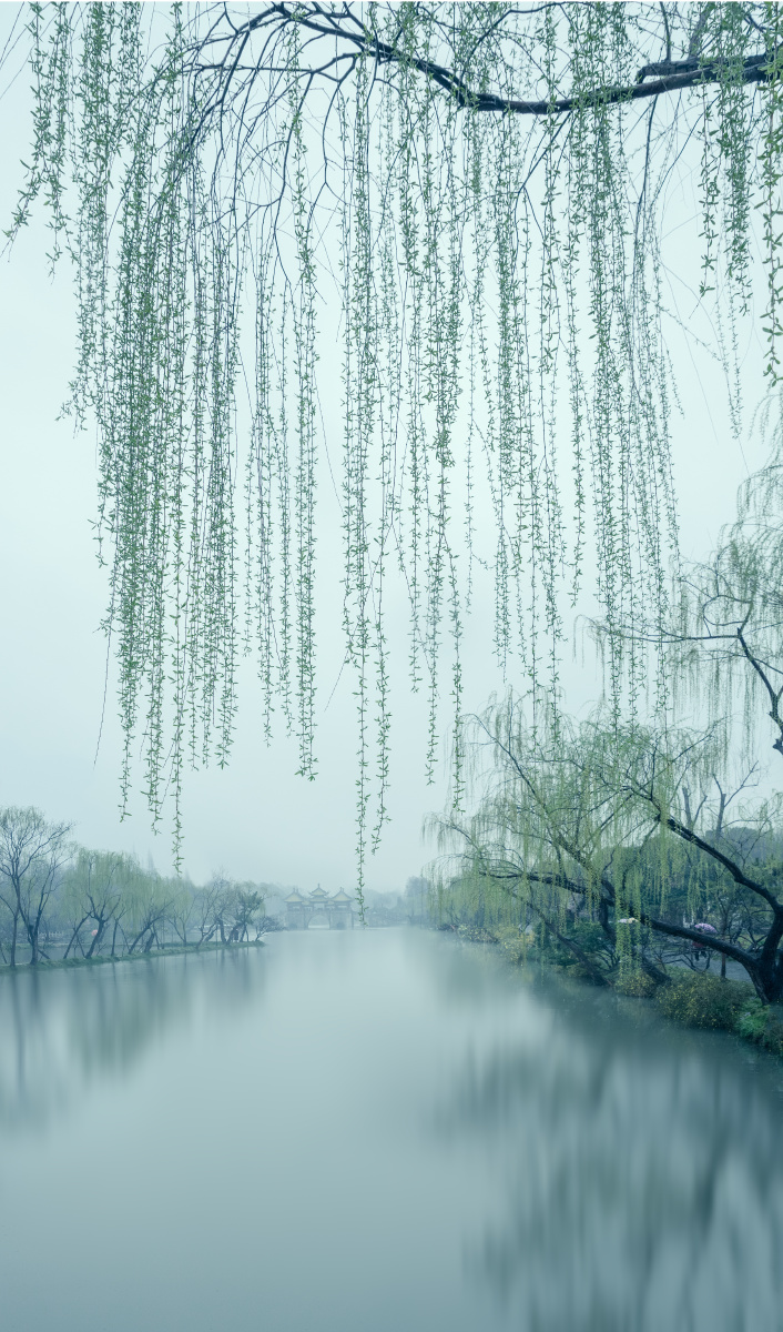 吹面不寒杨柳风