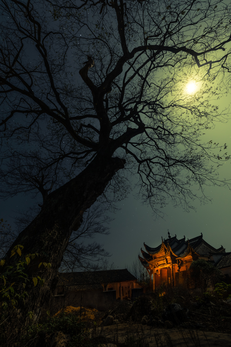 月光下的千年大树和古戏台,看尽人世变迁,拍摄地点:安徽泾县