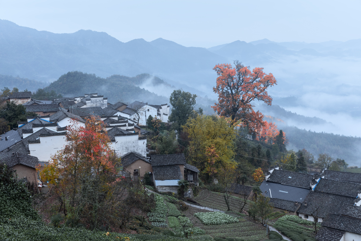 拍摄地点:安徽休宁金龙山