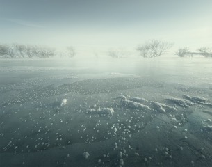 _L4A2009-1