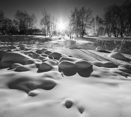 _L4A2389-1
