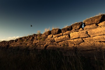 _L4A0971-1
