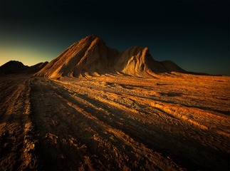 _L4A8098-1