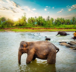 _MG_5317-1