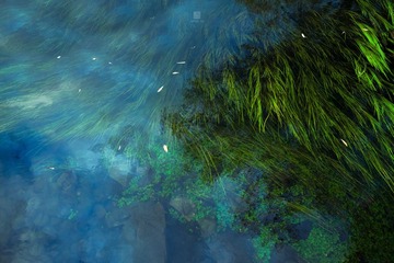 “_MG_8265”为智能对象-1.jpg