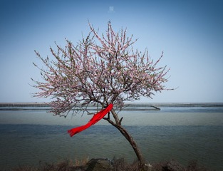 “_MG_1718”为智能对象-1.jpg