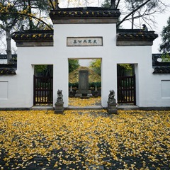 “_MG_5853”为智能对象-1.jpg