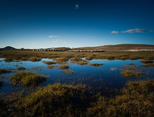 “IMG_4927”为智能对象-1.jpg