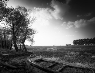 “_MG_3854”为智能对象-1