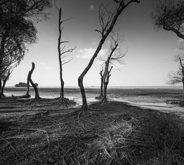 “_MG_3844”为智能对象-1