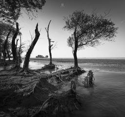 “_MG_3842”为智能对象-1