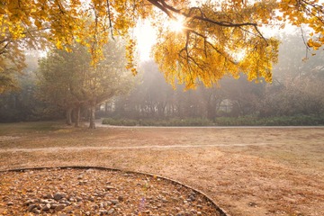 “_MG_9894”为智能对象-1