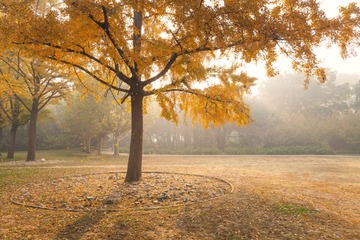 “_MG_9892”为智能对象-1