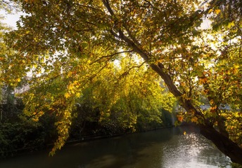 “_MG_0227”为智能对象-1