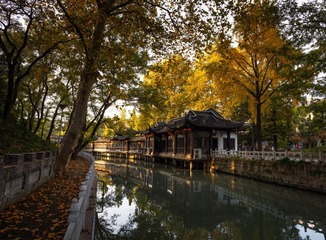 “_MG_0250”为智能对象-1