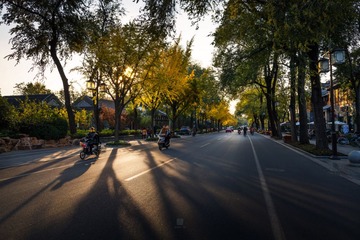 “_MG_0259”为智能对象-1