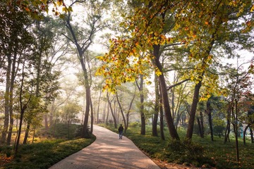 “_MG_9937”为智能对象-1