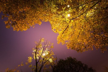 “_MG_0916”为智能对象-1