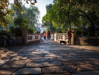 “_MG_0843”为智能对象-1