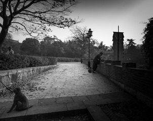 “_MG_2654”为智能对象-1