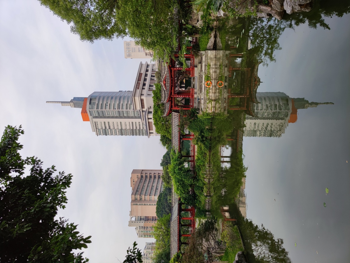 福州南公园 - 小草- - 图虫