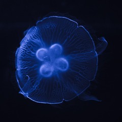 826208